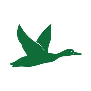 Waterfowl