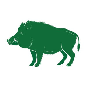 Wild Pigs