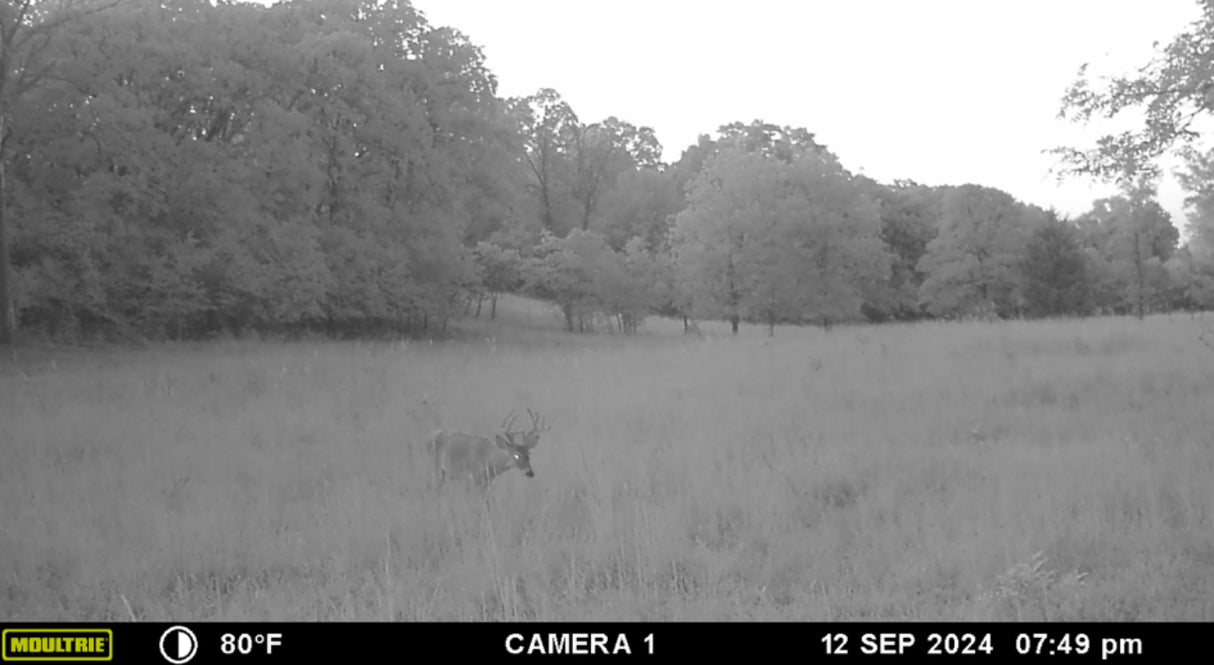 Excellent hunting, with waterfowl on this 320 acres in Creek County - Key West South