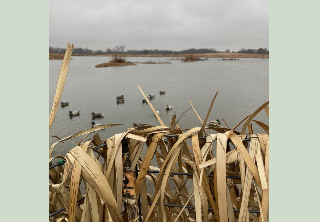 Killer Waterfowl Lease w House in Pottawatomie County 530 acres with 5 ponds - Sandpit