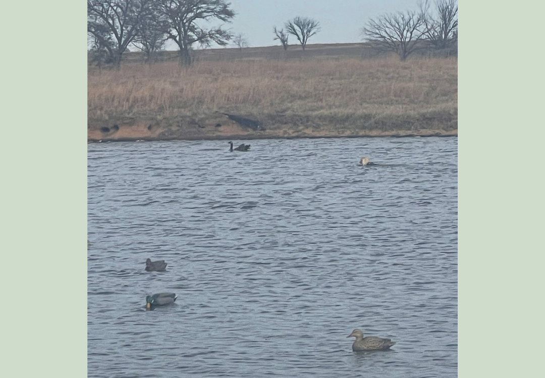 Killer Waterfowl Lease w House in Pottawatomie County 530 acres with 5 ponds - Sandpit