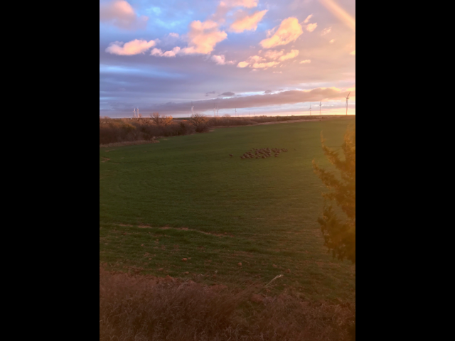 Big Bucks and an Excellent 160 acre lease in the Putnam Area - W Jackson