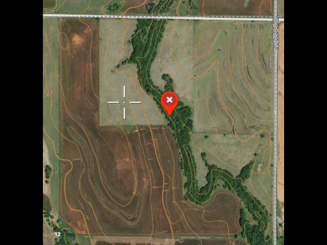 Great Hunting and good cover on 160 acres - 183