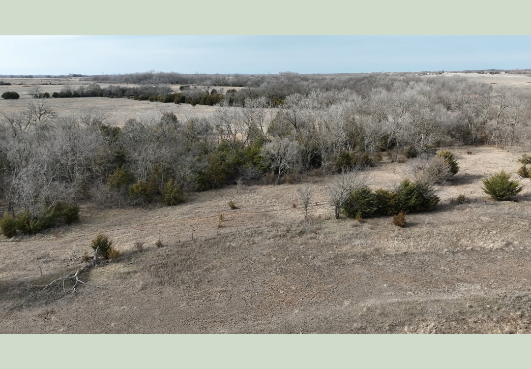 620acre Hunting Lease - School Section