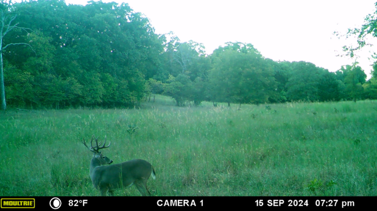 Excellent hunting, with waterfowl on this 320 acres in Creek County - Key West South