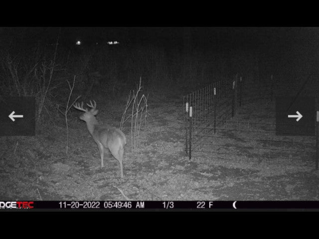 100 acre River Bottom Hunting Lease near Shawnee -Echo River 100