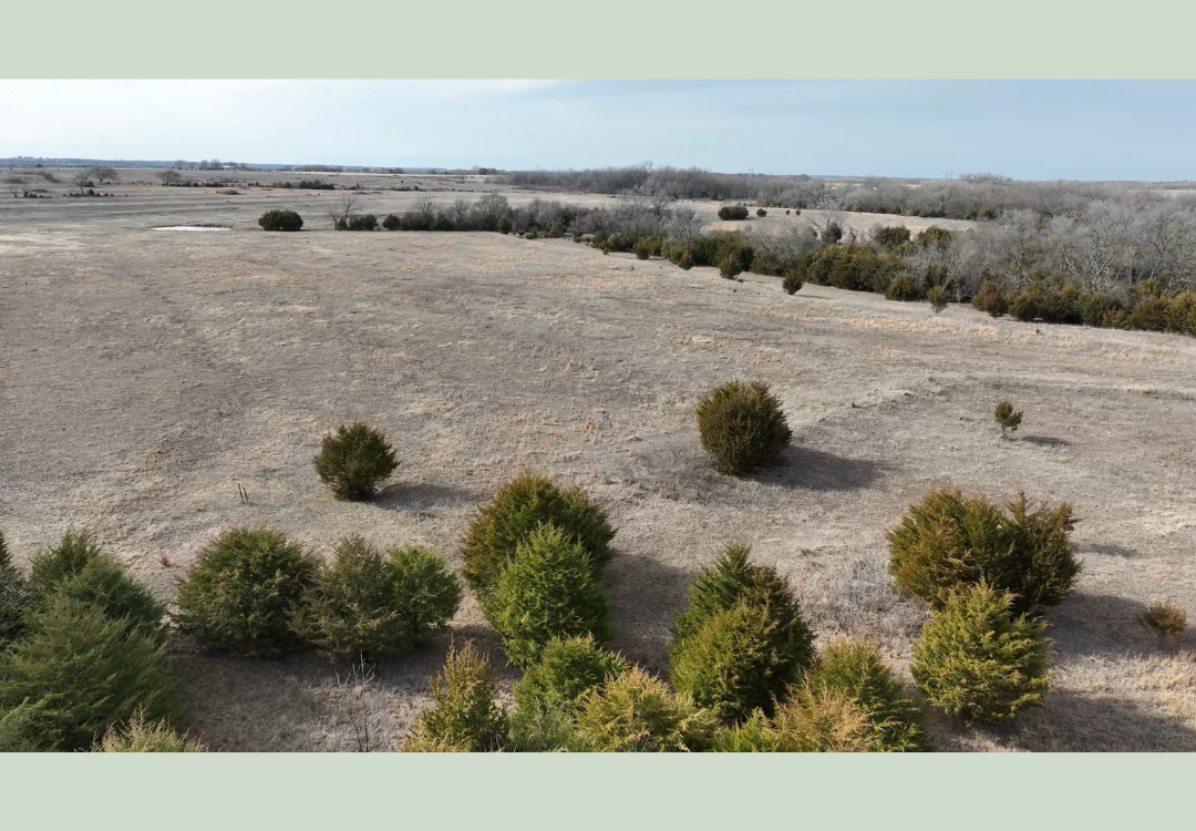 620acre Hunting Lease - School Section