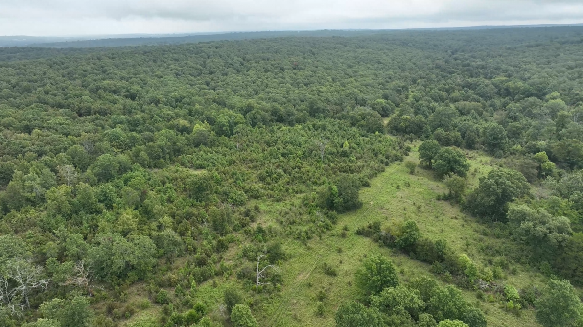 320-Acre Trophy Whitetail Haven in Hughes County - Starks Place