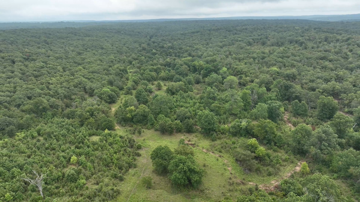 320-Acre Trophy Whitetail Haven in Hughes County - Starks Place