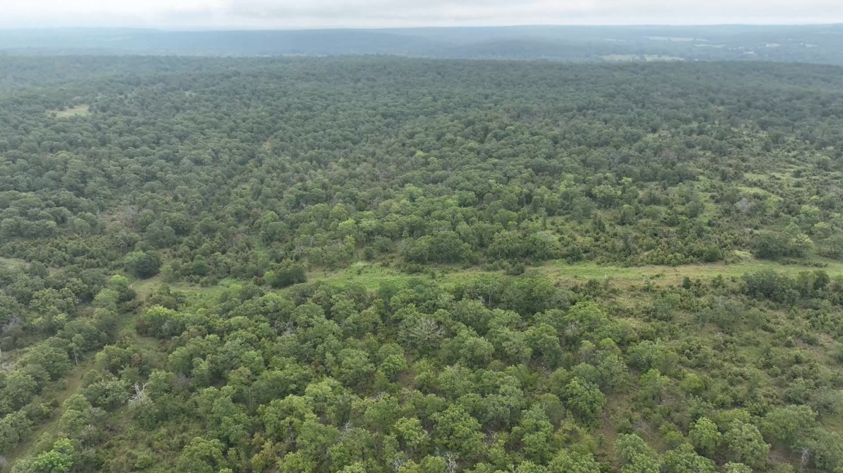 320-Acre Trophy Whitetail Haven in Hughes County - Starks Place