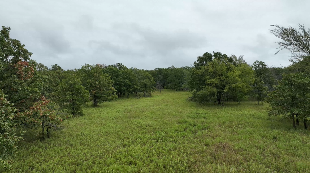 320-Acre Trophy Whitetail Haven in Hughes County - Starks Place