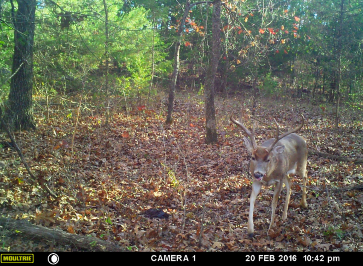 Excellent hunting, with waterfowl on this 320 acres in Creek County - Key West South