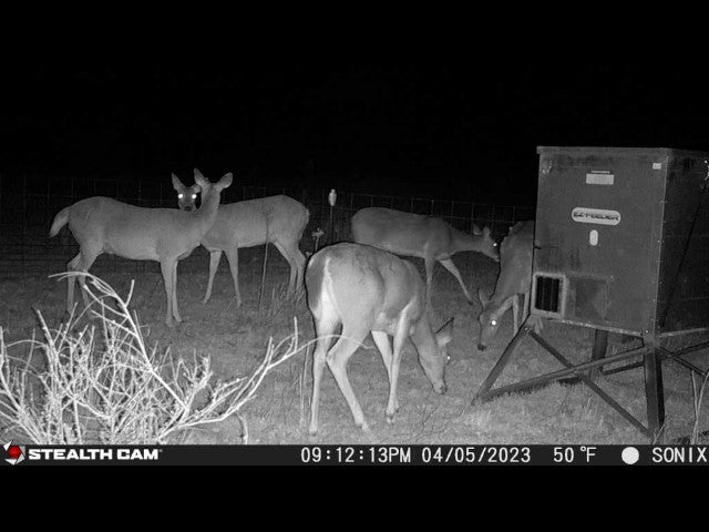 160 acre Lease With Nice Catfish Pond in Dewey County - S Alvis