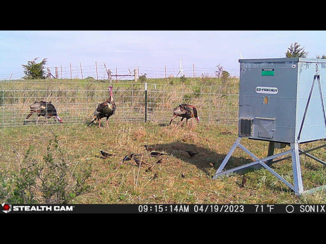 160 acre Lease With Nice Catfish Pond in Dewey County - S Alvis