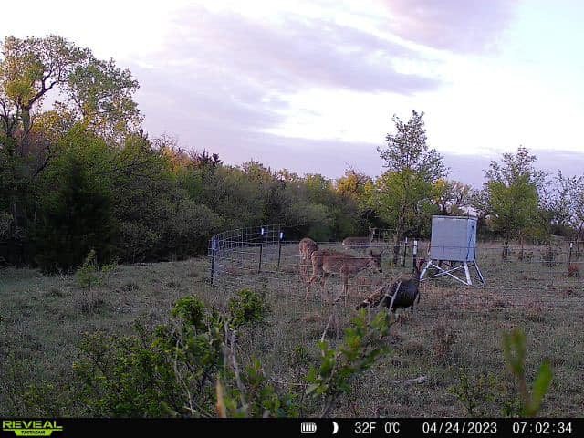 160 acre Lease With Nice Catfish Pond in Dewey County - S Alvis