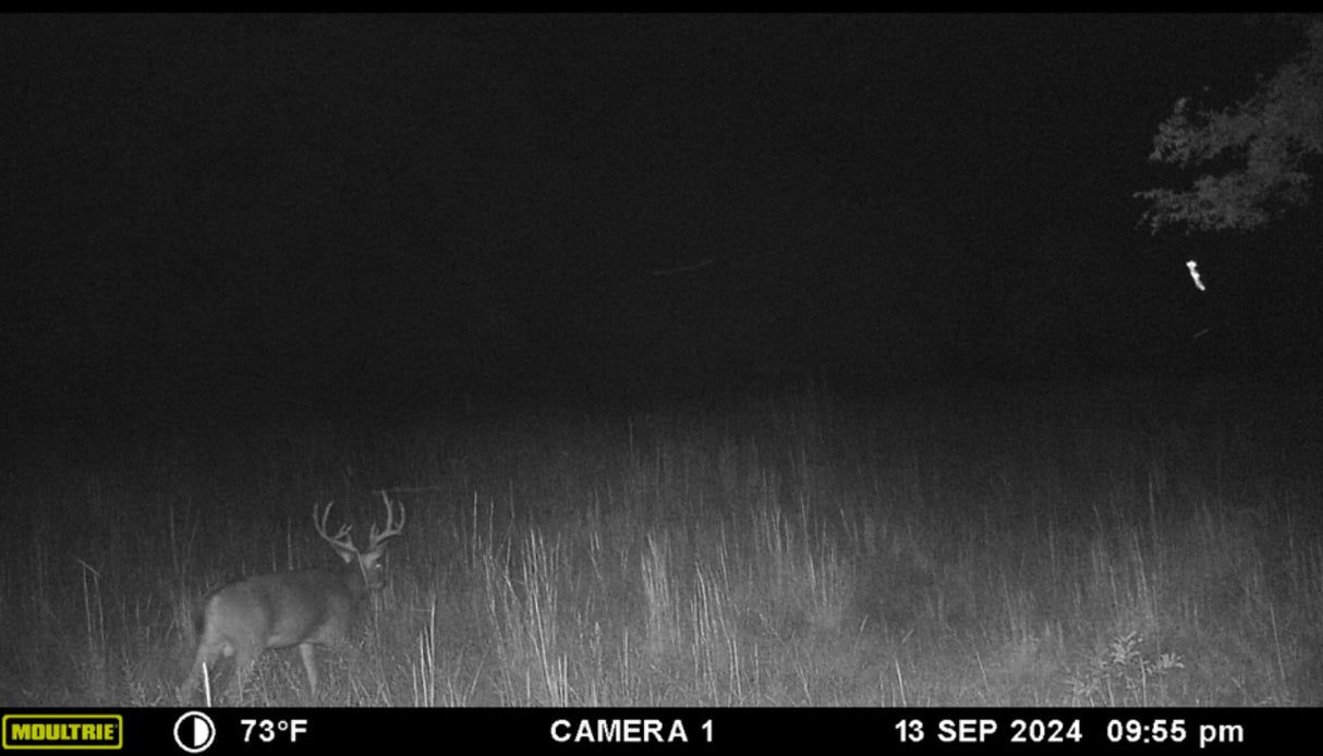 Excellent hunting, with waterfowl on this 320 acres in Creek County - Key West South