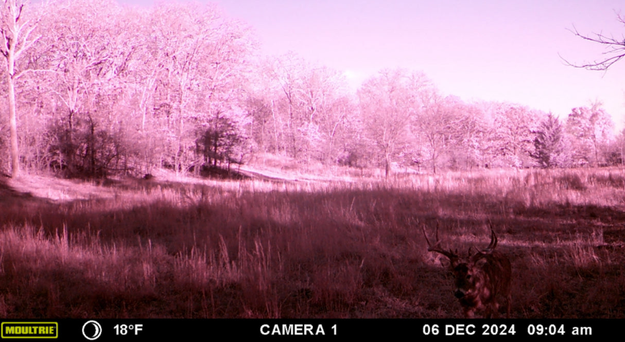 Excellent hunting, with waterfowl on this 320 acres in Creek County - Key West South