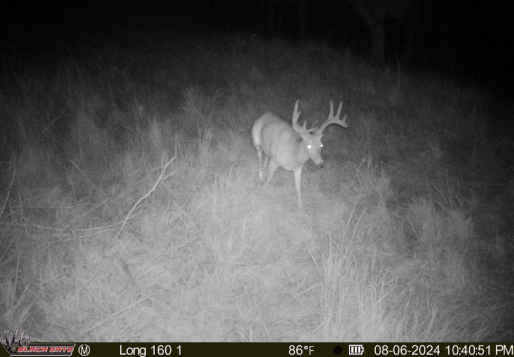 Top Notch Hunting on 160 acres in Dewey County - Grandpa & Grandma Beers