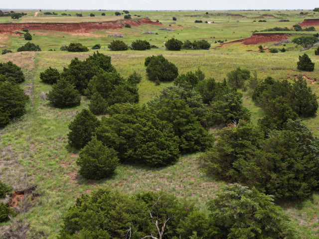 Killer 160 acre Hunting Lease in Blaine County - Weiderman Place