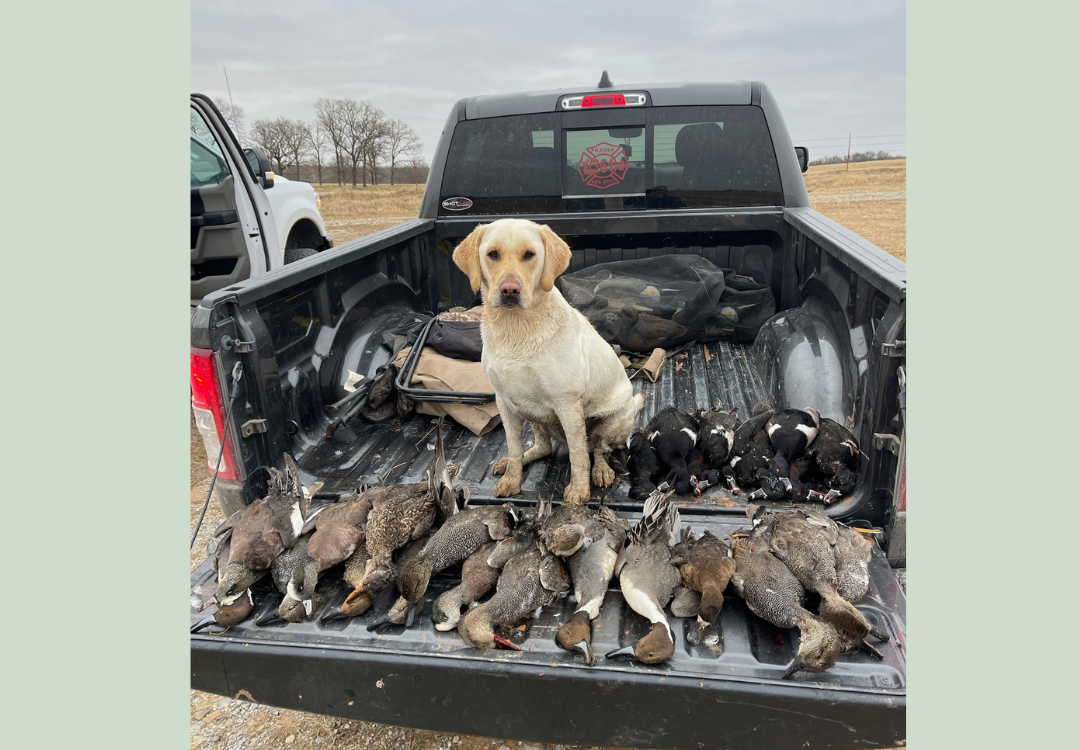 Killer Waterfowl Lease w House in Pottawatomie County 530 acres with 5 ponds - Sandpit