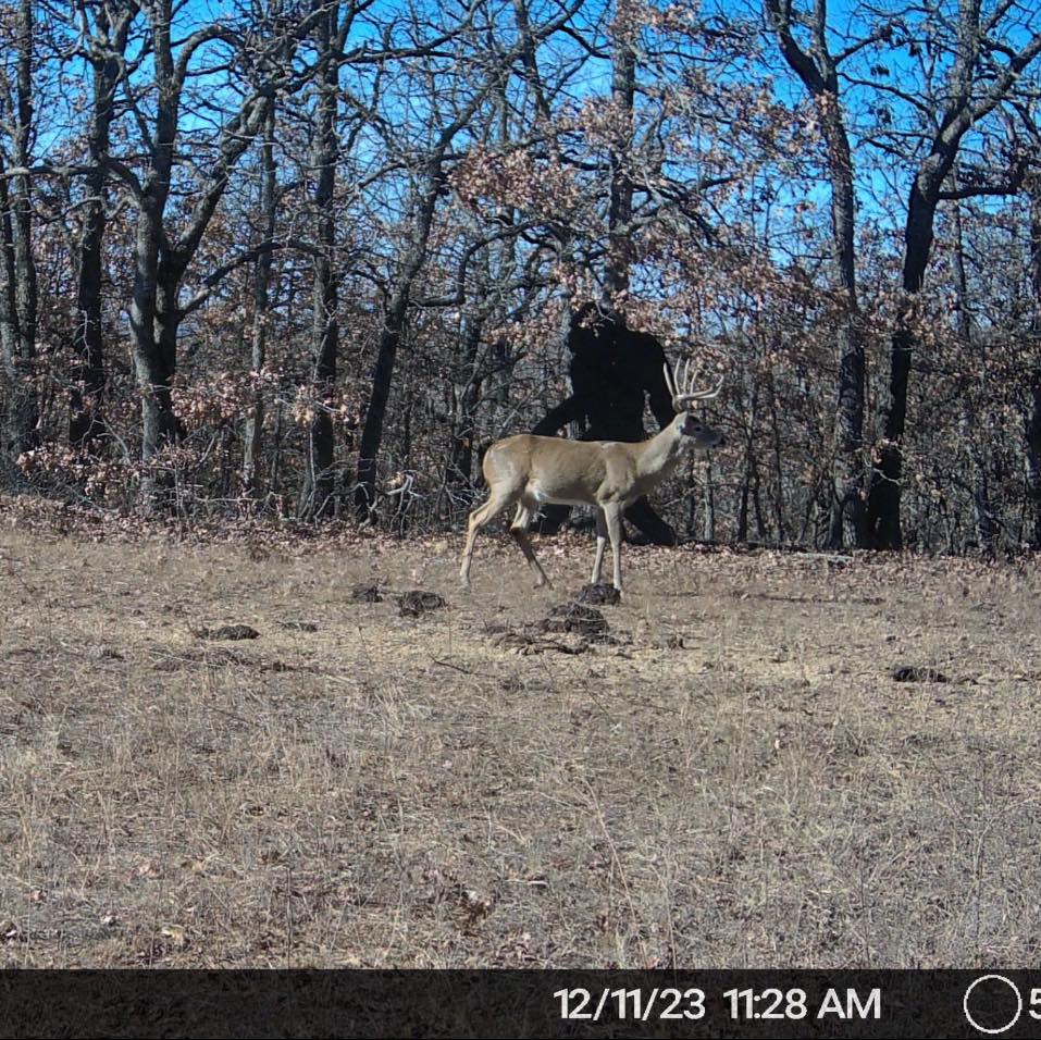 Heyburn Lake 708 Acre Hunting Lease in Creek County - Heavy Timber and Hills