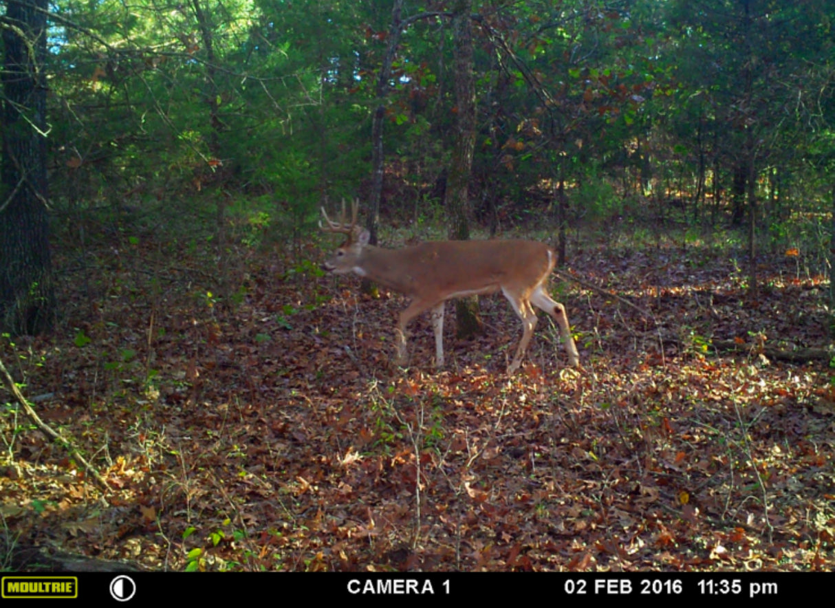 Excellent hunting, with waterfowl on this 320 acres in Creek County - Key West South