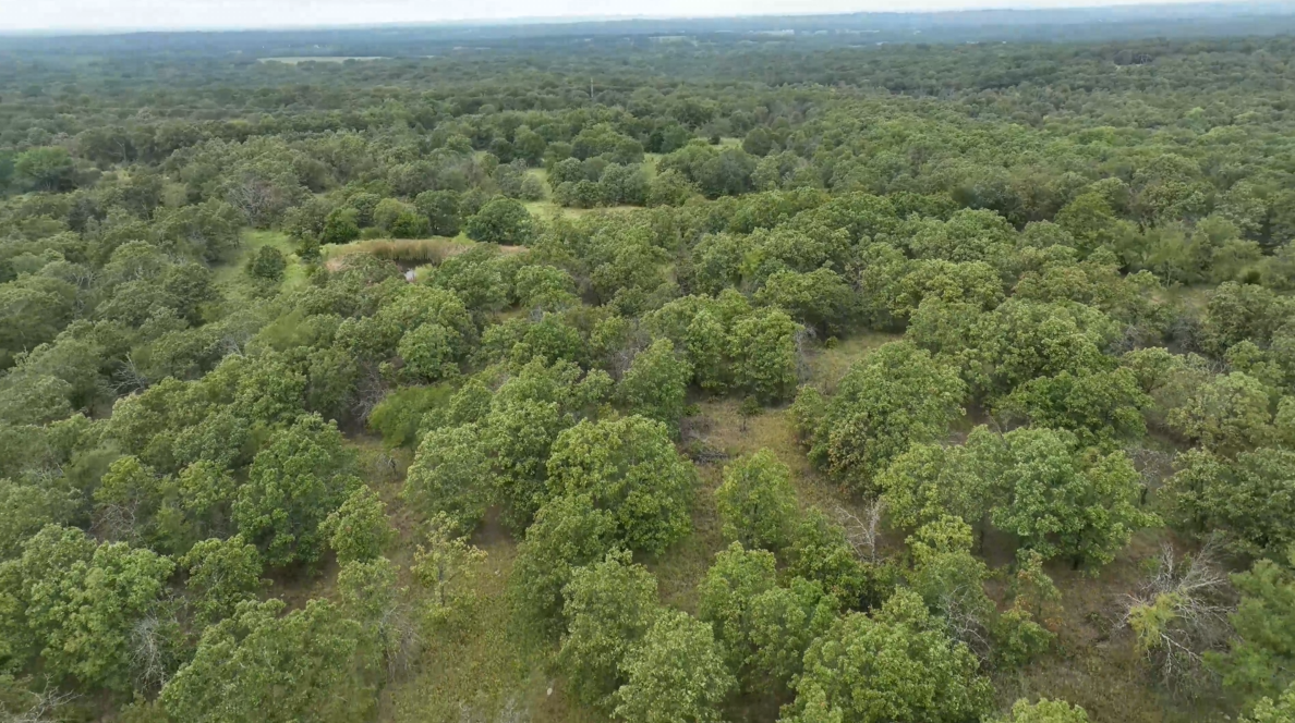 440-Acre Trophy Whitetail Haven in Hughes County - Williams Place