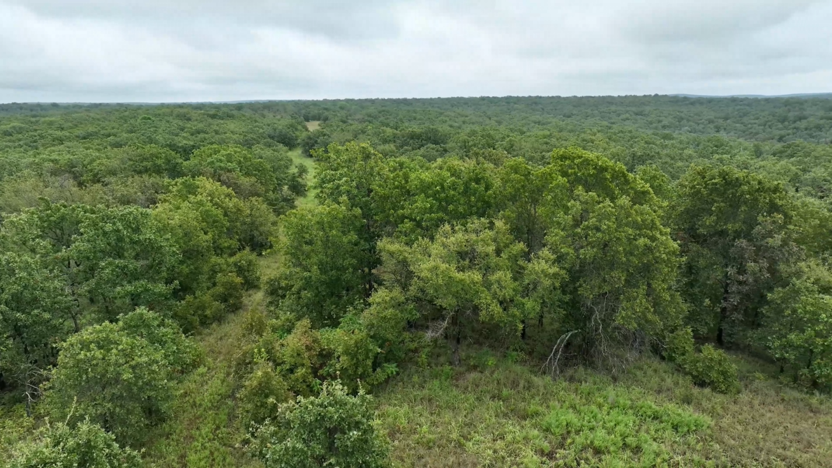 440-Acre Trophy Whitetail Haven in Hughes County - Williams Place