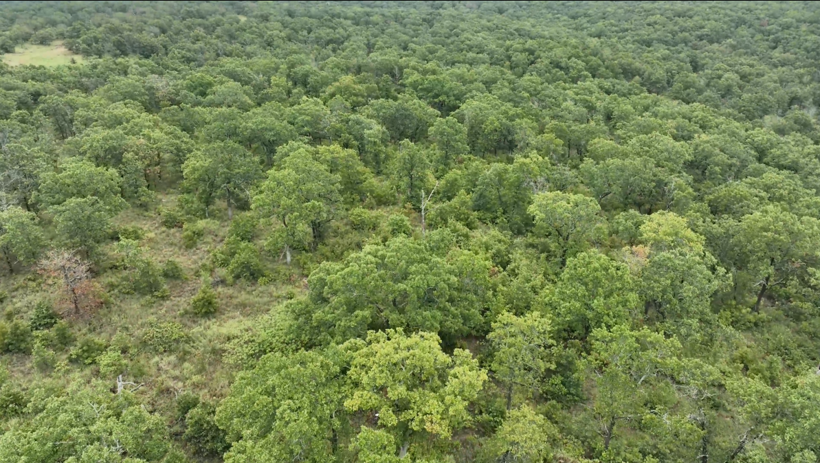 440-Acre Trophy Whitetail Haven in Hughes County - Williams Place
