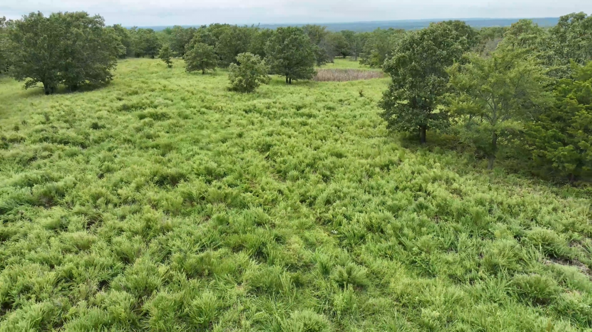 440-Acre Trophy Whitetail Haven in Hughes County - Williams Place
