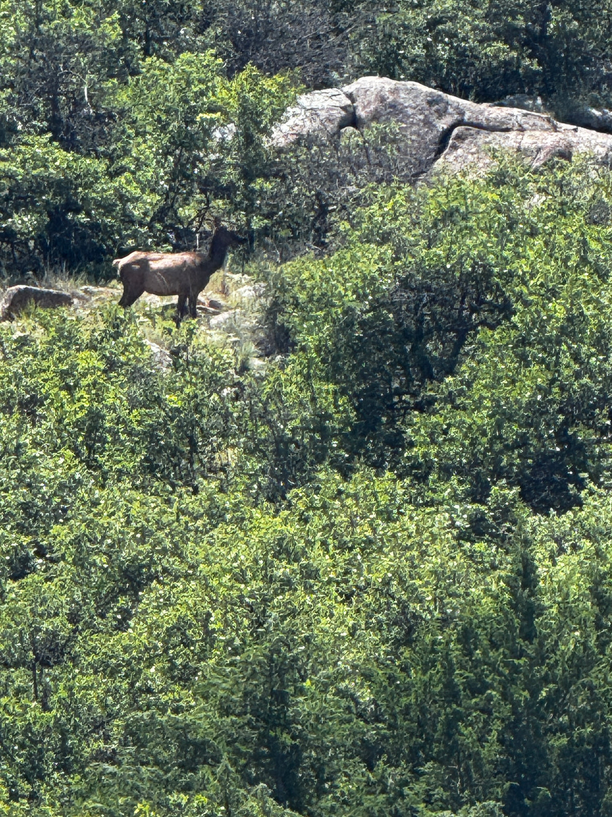 1251 Beautiful Acres in Kiowa County - Haley Ranch West