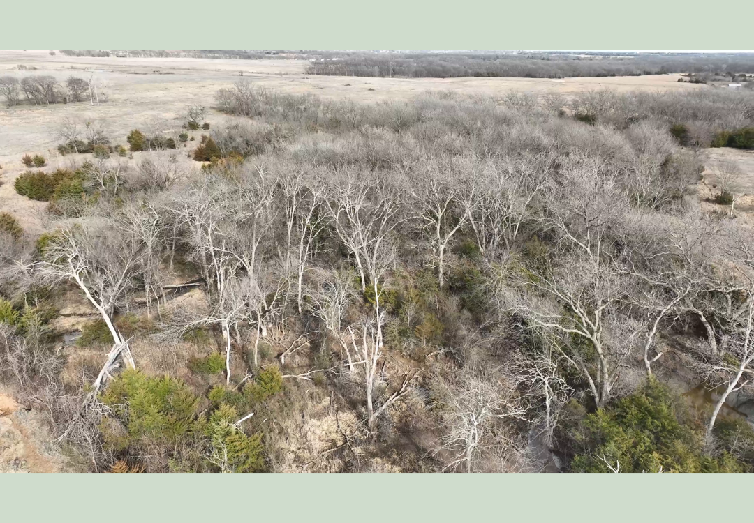 620acre Hunting Lease - School Section