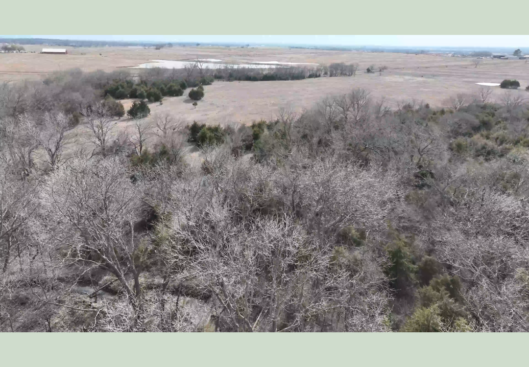 620acre Hunting Lease - School Section