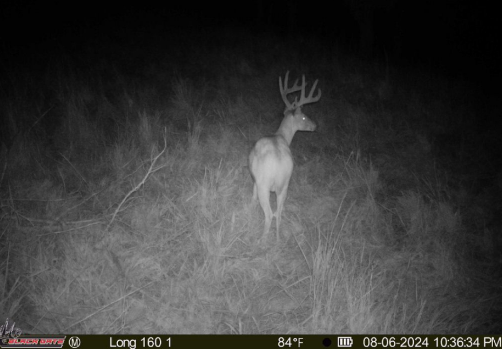 Top Notch Hunting on 160 acres in Dewey County - Grandpa & Grandma Beers