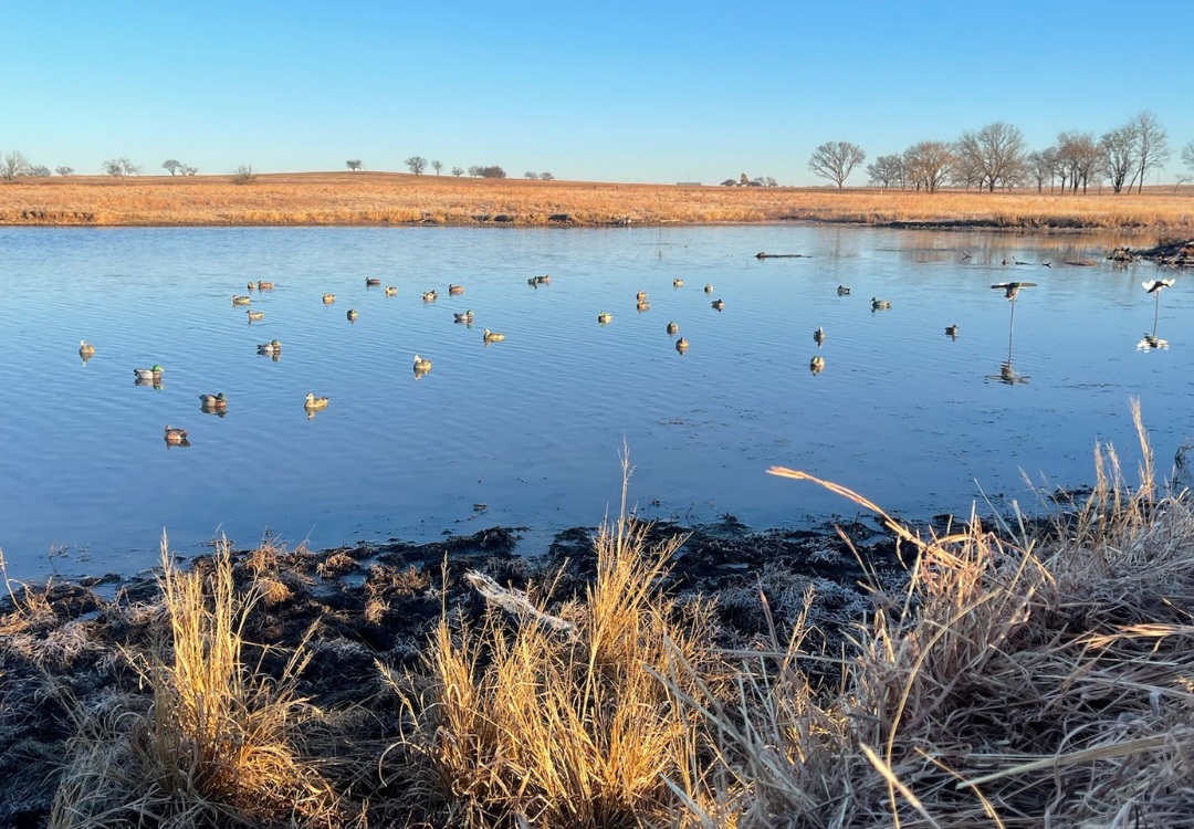 Killer Waterfowl Lease w House in Pottawatomie County 530 acres with 5 ponds - Sandpit
