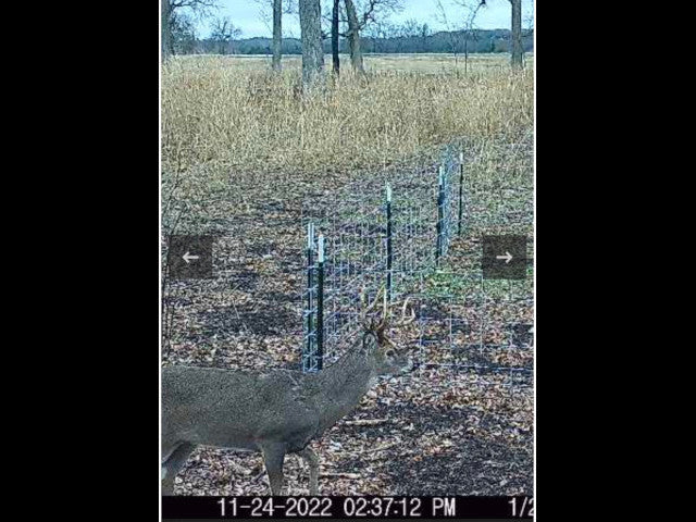 100 acre River Bottom Hunting Lease near Shawnee -Echo River 100