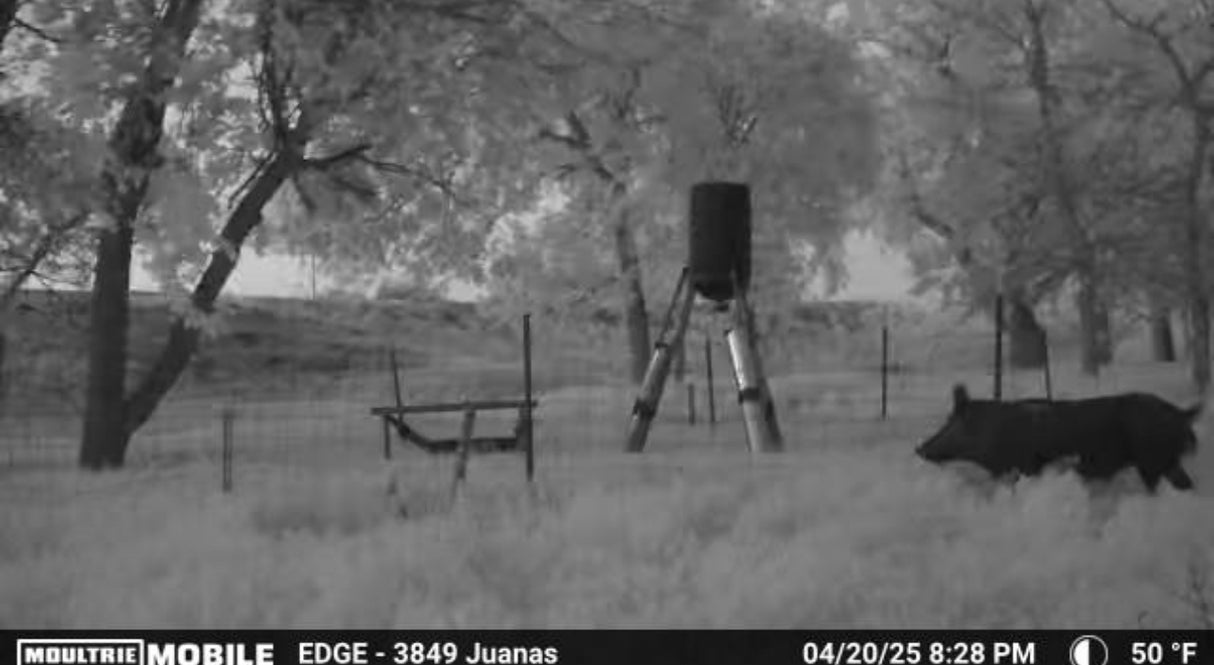 160 acres Includes Finger Ravines For Optimal Hunting - Bob South