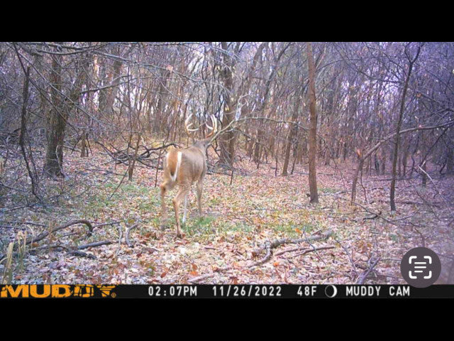 Close to OKC and on the River 190 acres Hunting Lease in Pottawatomie County -River 190