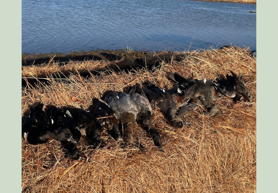 Killer Waterfowl Lease w House in Pottawatomie County 530 acres with 5 ponds - Sandpit