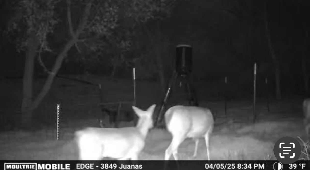 160 acres Includes Finger Ravines For Optimal Hunting - Bob South