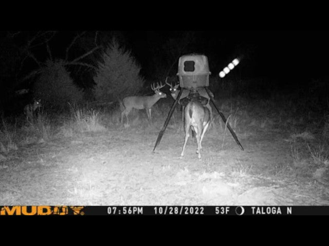 Excellent Quality 160 acre Hunting Lease for 2 Hunters - 4Hicks