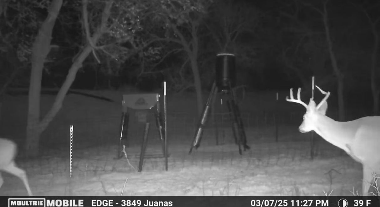 160 acres Includes Finger Ravines For Optimal Hunting - Bob South