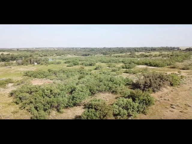 Must See 800 acre lease in SW Oklahoma -Painter
