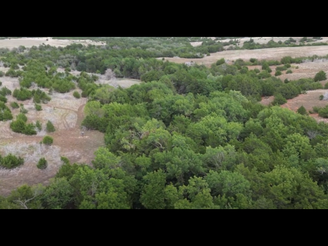 Lots of cover and deep wooly ravines on this 280 acre Hunting Lease in Dewey County - BrunHome