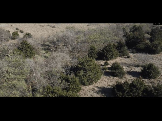 Great 240 acre lease in Dewey County - Rose