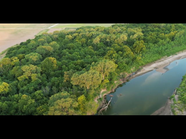 Beautiful hunting property and a Deer Haven. 300 acre Hunting Lease Coop Includes 88 acres on the River - River Coop