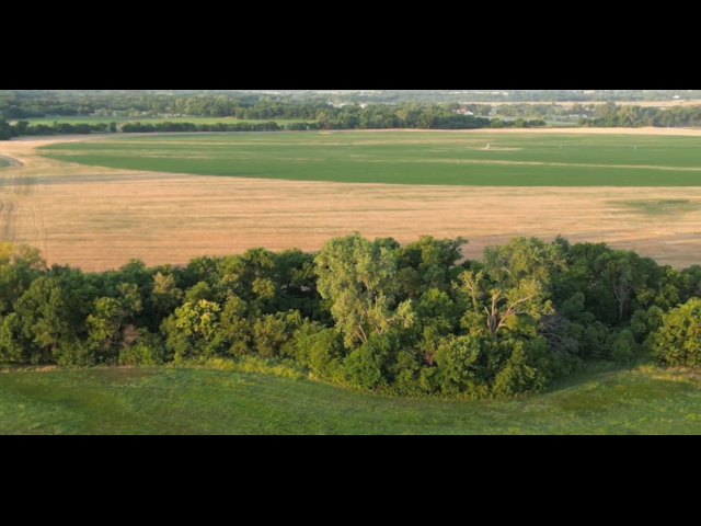 Beautiful hunting property and a Deer Haven. 300 acre Hunting Lease Coop Includes 88 acres on the River - River Coop