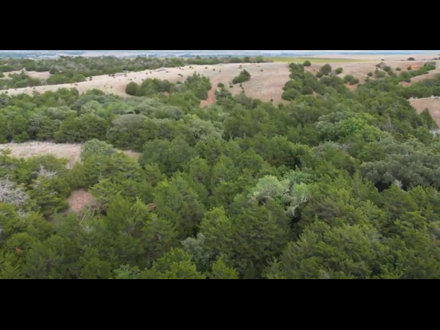 Lots of cover and deep wooly ravines on this 280 acre Hunting Lease in Dewey County - BrunHome