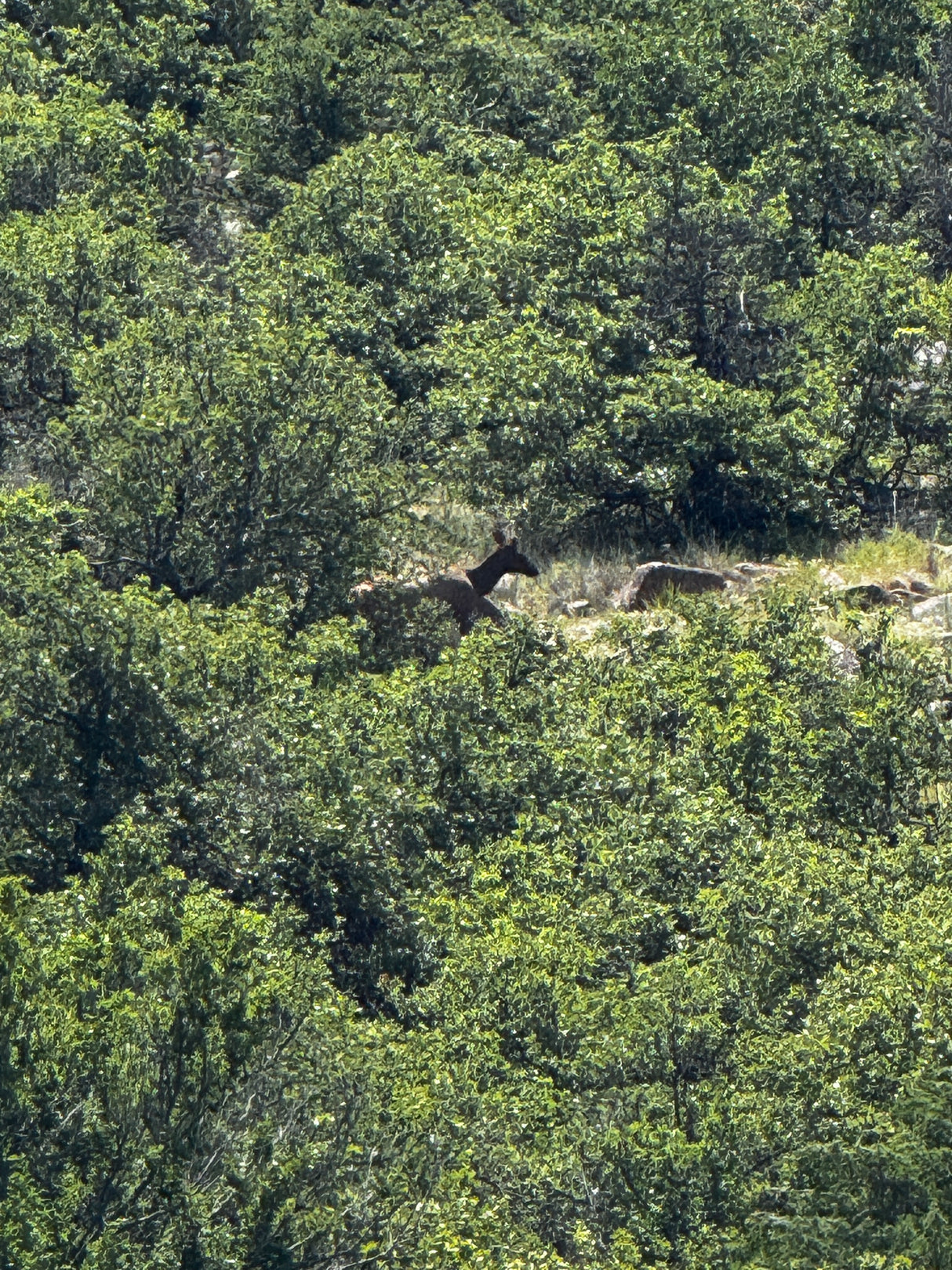 1251 Beautiful Acres in Kiowa County - Haley Ranch West
