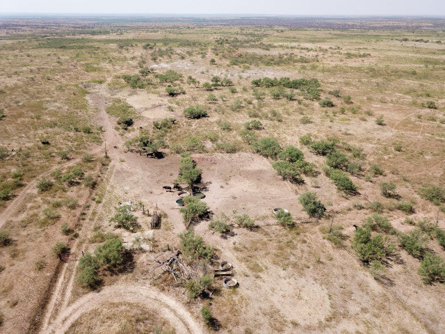 640 acre lease in W Texas with Mule Deer - Texas Section